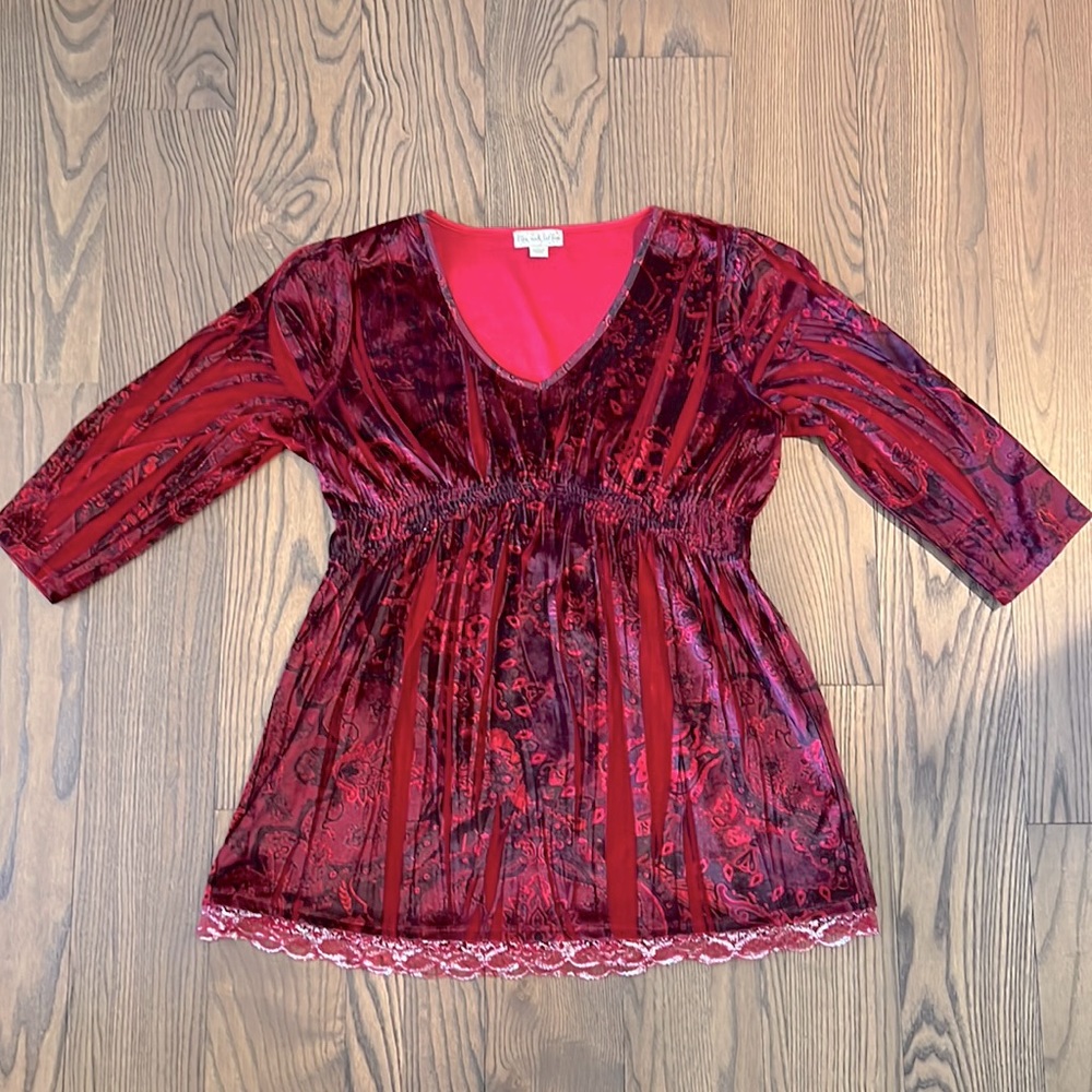 Vintage Romantic Red Velvet Tunic